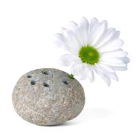 Kikkerland Frog Stone 