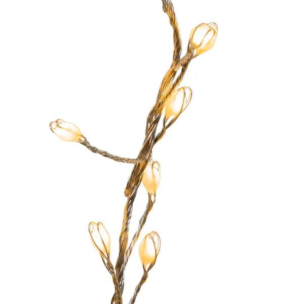 9.8' 300 Light Silver Wire Warm White and Multicolor Fairy Lights