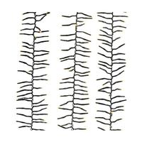 Kurt S. Adler 16' 480 Light Green Wire Warm White Multifunction Cluster Garland Lights