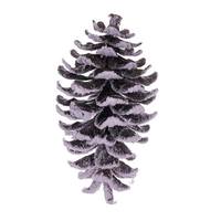 Vickerman 8" Snowy Glitter Pinecone Ornament (2 Pack)