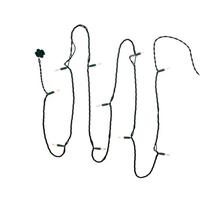 Kurt S. Adler 9' 10 Light UL Clear Light Green Wire Light Set In Polybag