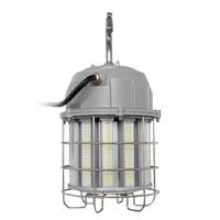Light Efficient Design 100 watt 120/277 volt 5000K LED Work Light with Cage