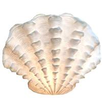 Light Garden 17" Large Standing Scallop Table Lamp