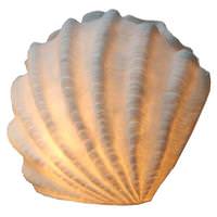 Light Garden 14" Shell Table Lamp