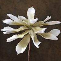 Click to view larger photo