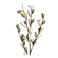 Light Garden 46.5" Artificial Green/Pink Foam Flower
