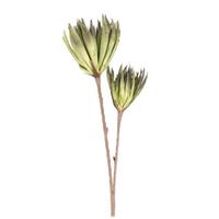 Light Garden 44" Artificial Green/White Foam Flower