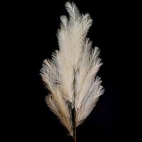 Light Garden 46" Artificial White Synthetic Feathers 