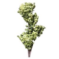 Light Garden 45" Artificial Green Foam Flower