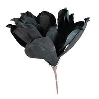 Light Garden 33" Artificial Dark Teal Foam Flower