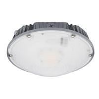 Litetronics 11" 39 watt 120/277 volt 5000K Daylight Dimmable LED Garage Light
