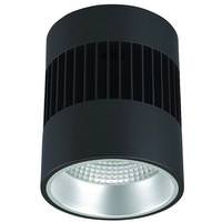 Liton 62.3 watt 120/277 volt 6" Lumen Cannon LED Pendant/Downlight