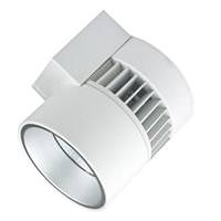 Liton 60 watt 120/277 volt 3000K Natural White Dimmable LED Uplight/Downlight Flood
