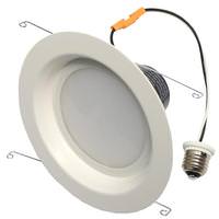 LongStar 5"-6" 19 watt 120 volt 2700K Dimmable Flood LED Retrofit Kit