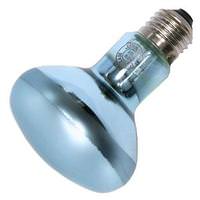 Lumiram 60 watt 115/125 volt R25 Medium Screw Base Frosted Flood