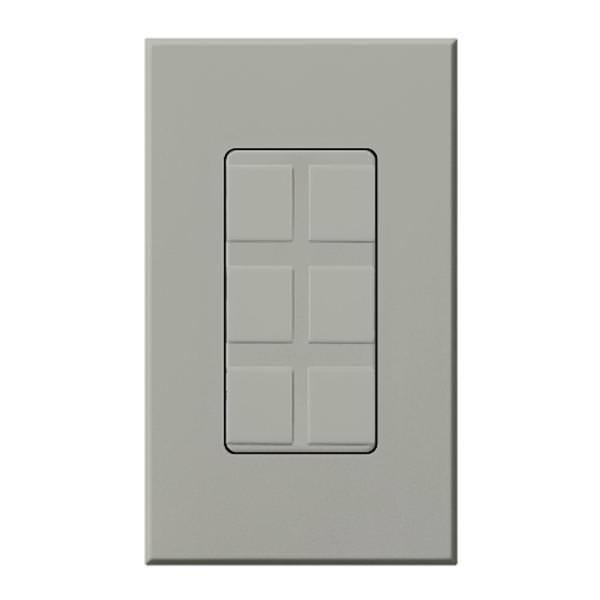 6-Port Gray Frame with Blanks
