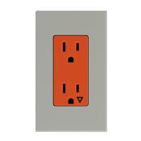 Lutron Gray 15 amp 120 volt Isolated Ground Receptacle Outlet