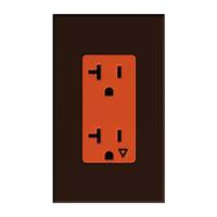 Lutron Brown 20 amp 120 volt Isolated Ground Receptacle Outlet