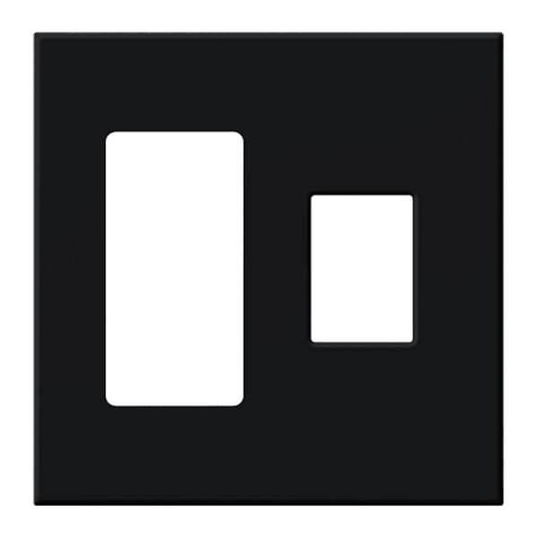 2-Gang Black Wallplate