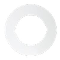 View 9.5"-12" White Downlight Goof Ring