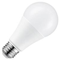A23 LED Light Bulbs
