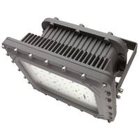 Maxlite 100 watt 120/277 volt 5000K Daylight Gray Non-Dimmable Harsh and Hazardous LED Flood Light
