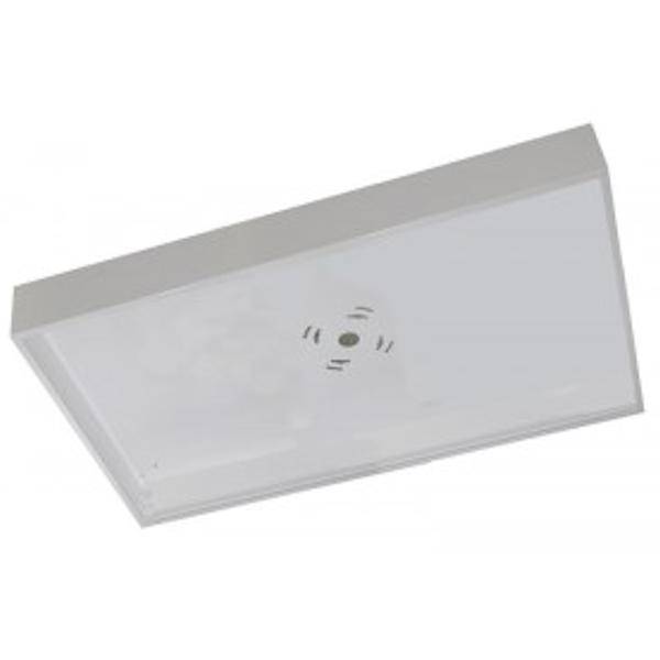 2' x 4' Surface Mount