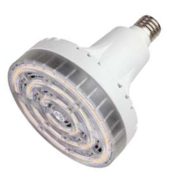 80 watt 120/277 volt Exclusionary Mogul Screw Base 5000K LED