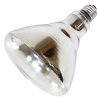 EncapSulite 250 watt 120 volt BR40 Medium Screw Base Rough Service Clear
