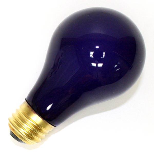 60 watt 130 volt A19 Medium Screw Base Transparent Purple