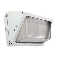 Morris 60 Watt 120/277 Volt 5000K Daylight White LED Medium Wall Pack