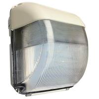 Morris 50 Watt 120/277 Volt 5000K Daylight White LED Designer Wall Pack