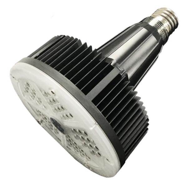 50 watt 120/277 volt European Mogul Screw Base 5000K Daylight LED