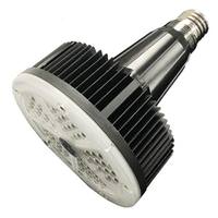 Morris 50 watt 120/277 volt European Mogul Screw Base 5000K Daylight LED