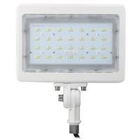 Morris 30 watt 100/277 volt 5000K Daylight White LED Flood Light