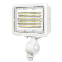 Morris 30 watt 100/277 volt 5000K Daylight White LED Flood Light