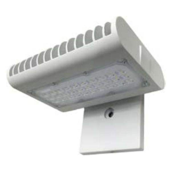 50 watt 120/277 volt 5000K Daylight White LED Area Light