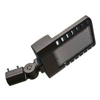 Morris 380 watt 120/277 volt 5000K Daylight Bronze Dimmable LED Area Light