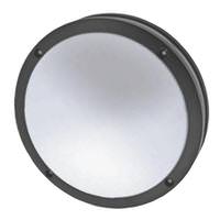 Morris 11" 17 Watt 120 Volt  5000K Daylight Black LED Accent Fixture