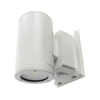 Morris 22 Watt 120/277 Volt White Round 5,000K LED Outdoor Wall Wash Light Fixture