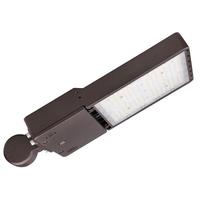Morris 80 watt 120/277 volt 5000K Daylight Bronze Wall Mount LED Area Light