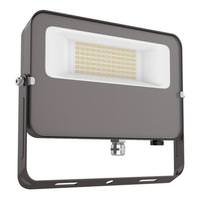Morris 50 Watt 120 Volt CCT Selectable Knuckle Mount LED