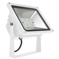 naturaLED 50 watt 120/277 volt 4000K Cool White LED Flood Light Fixture
