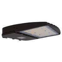 naturaLED 100 watt 120/277 volt 5000K Daylight Bronze Dimmable LED Area Light