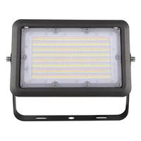 NaturaLED 40/50/60 watt 120/277 volt 5000K Daylight Bronze Yoke Mount Dimmable LED Flood Light
