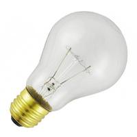 50 watt 12 volt A19 Medium Screw Base Clear Marine