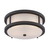 View 2 Light 19.6 watt 2700K Textured Black Ceiling Light Fixture