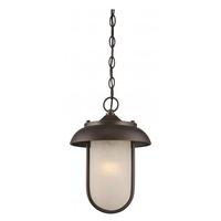 View 1 Light 9.8 watt 120 volt Mahogany Bronze Satin Amber Glass Shade 2700K LED Outdoor Hanging Light