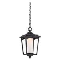 View 1 Light 14 watt 120 volt Sterling Black Etched Glass Shade 3000K Dimmable LED Outdoor Hanging Light