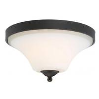 View 2 Light Mahogany Bronze Frosted Glass Shade Ceiling Light Fixture